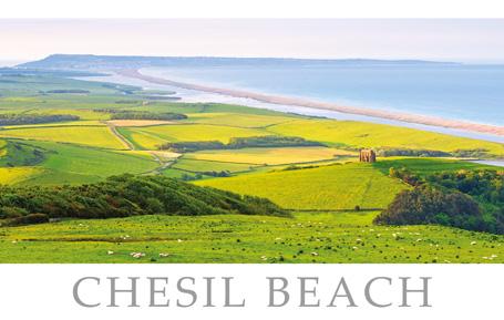 PDR507 - Carte postale de la plage de Chesil