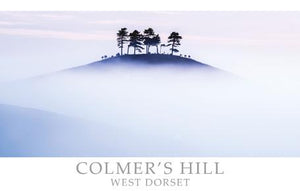 PDR508 - Colmer's Hill Bridport Dorset Postcard