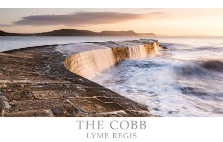PDR538 - La carte postale Cobb Lyme Regis