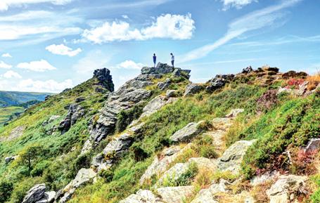 PDV542 - Valley of the Rocks Exmoor Postcard