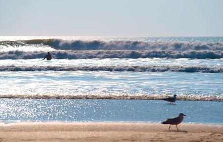 PDV565 - Carte postale de Woolacombe