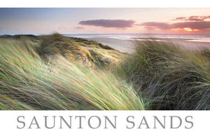 PDV600 - Saunton Sands Devon Postcard