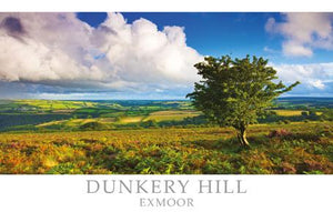 PST503 - Carte postale de Dunkery Hill Exmoor