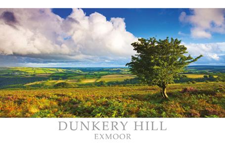 PST503 - Dunkery Hill Exmoor Postcard