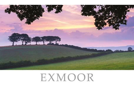 PST510 - Carte postale Luccombe Exmoor