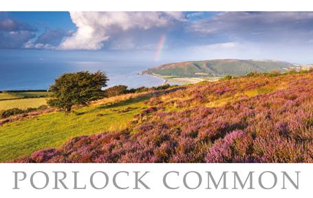PST511 - Porlock Common Exmoor Postcard