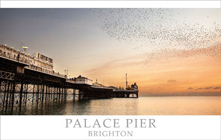 PSX511 - Palace Pier, Brighton, Sussex Postcard