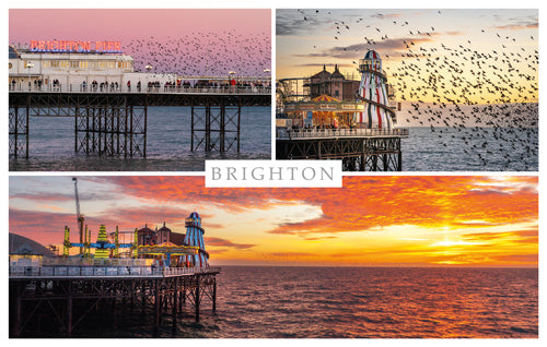 PSX559 - Murmurations and Sunsets Brighton Postcard (25 Postcards)