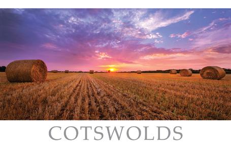 PWD574 - Carte postale des champs des Cotswolds