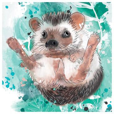 RT149 - Pygmy Hedgehog Art Card