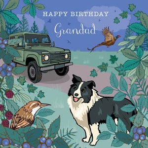 SAS115 – Carte d'anniversaire joyeux anniversaire grand-père (chien Collie)
