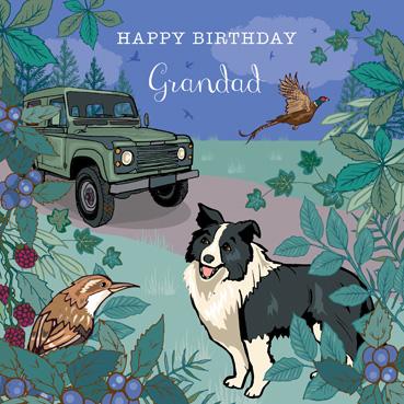 SAS115 - Happy Birthday Grandad (Collie Dog) Birthday Card