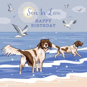 SAS128 - Son-in-Law Birthday (Spaniels at Beach) Greeting Card