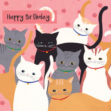 SSH107 - Carte de vœux Joyeux anniversaire (Chats) (6 cartes)
