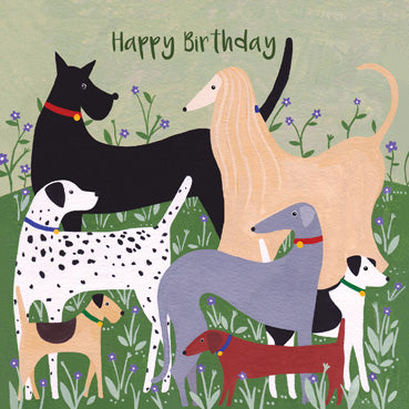 SSH108 - Happy Birthday (Dogs) Greeting Card (6 Cards)