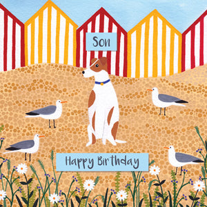 SSH110 - Happy Birthday Son (Beach Huts) Greeting Card (6 Cards)