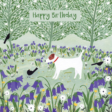 SSH111 - Joyeux anniversaire (chien et jacinthes) (6 cartes)