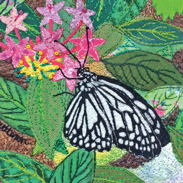 UTT107 - Carte de vœux papillon blanc marbré (6 cartes)
