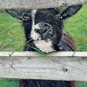 UTT108 - Happy Goat Greeting Card (6 Cards)