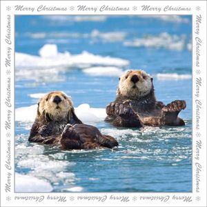 XMS113 - Sea Otters Christmas Card